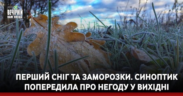 На Хмельниччині на спробі втечі за кордон затримали колаборанта 