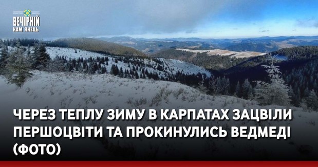 Через теплу зиму в Карпатах зацвіли першоцвіти та прокинулись ведмеді (ФОТО)