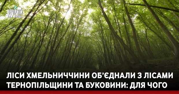 Ліси Хмельниччини об’єднали з лісами Тернопільщини та Буковини: для чого