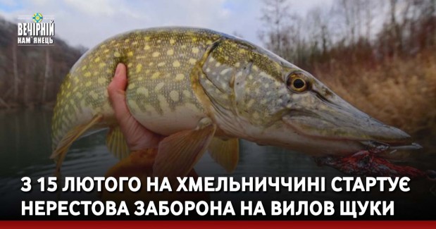 З 15 лютого на Хмельниччині стартує нерестова заборона на вилов щуки