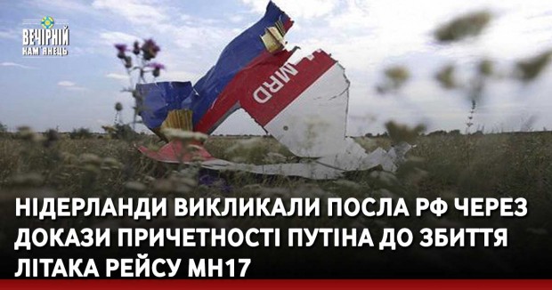 Нідерланди викликали посла РФ через докази причетності Путіна до збиття літака рейсу MH17