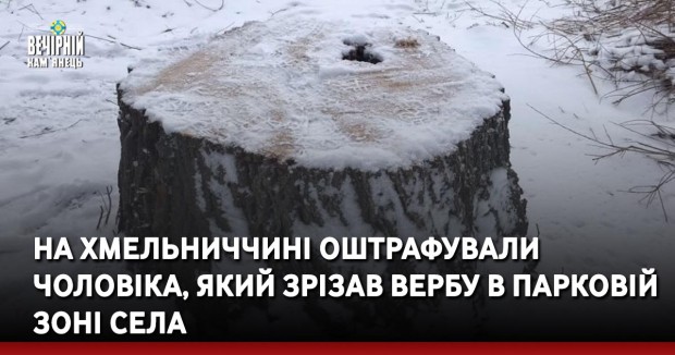 На Хмельниччині оштрафували чоловіка, який зрізав вербу в парковій зоні села