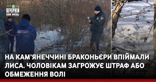 На Кам’янеччині браконьєри впіймали лиса. Чоловікам загрожує штраф або обмеження волі