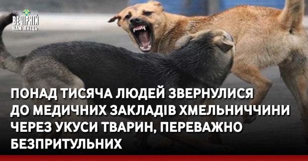 Понад тисяча людей звернулися до медичних закладів Хмельниччини через укуси тварин, переважно безпритульних