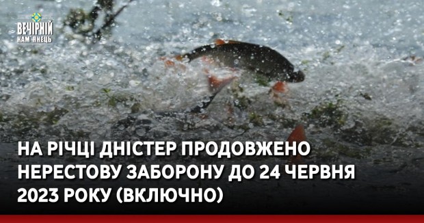 На річці Дністер продовжено нерестову заборону до 24 червня 2023 року (включно)