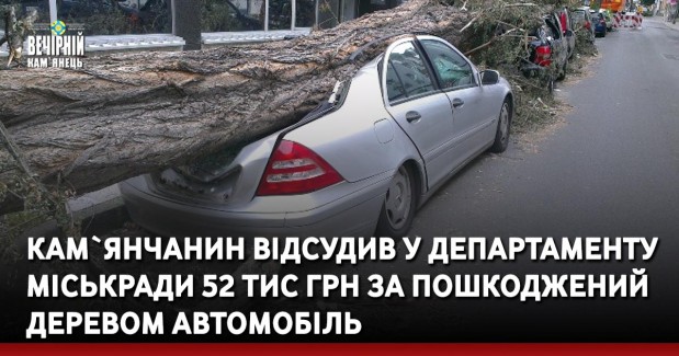 Кам`янчанин відсудив у департаменту міськради 52 тис грн за пошкоджений деревом автомобіль