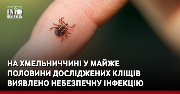На Хмельниччині у майже половини досліджених кліщів виявлено небезпечну інфекцію