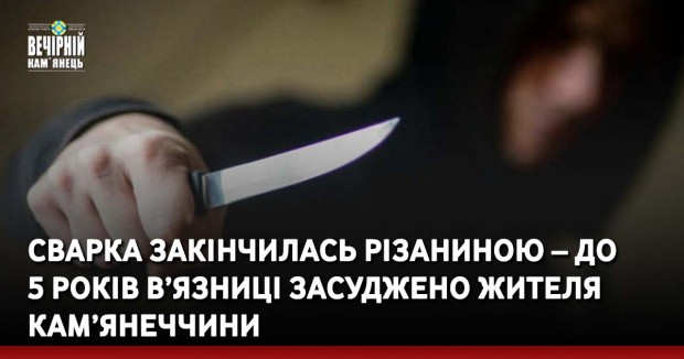Сварка закінчилась різаниною – до  5 років в’язниці засуджено жителя Кам’янеччини