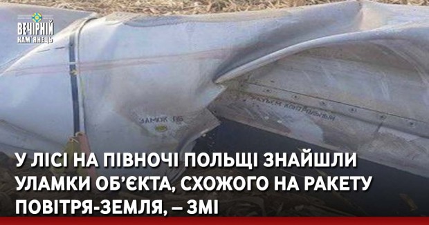 У лісі на півночі Польщі знайшли уламки об’єкта, схожого на ракету повітря-земля, – ЗМІ