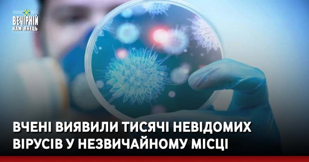Вчені виявили тисячі невідомих вірусів у незвичайному місці