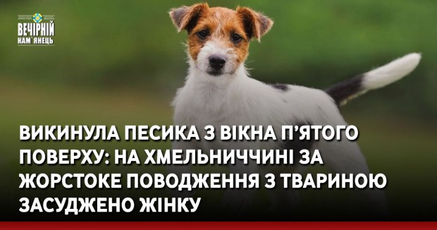 викинула песика з вікна п’ятого поверху: на Хмельниччині за  жорстоке поводження з твариною засуджено жінку