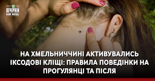На Хмельниччині активувались іксодові кліщі: правила поведінки на прогулянці та після