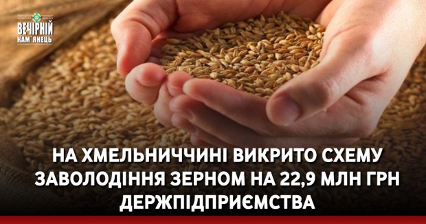 На Хмельниччині викрито схему заволодіння зерном на 22,9 млн грн держпідприємства