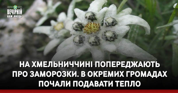 На Хмельниччині попереджають про заморозки. В окремих громадах почали подавати тепло
