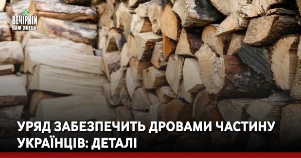 Уряд забезпечить дровами частину українців: деталі