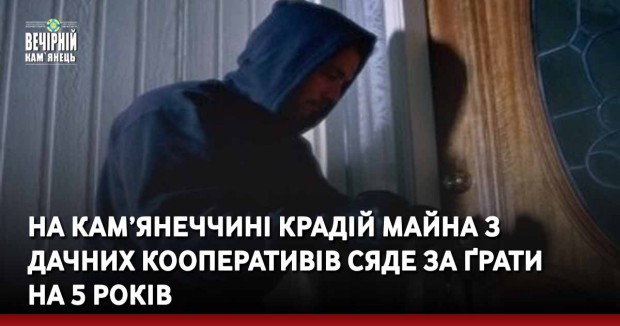 На Кам’янеччині крадій майна з дачних кооперативів сяде за ґрати на 5 років
