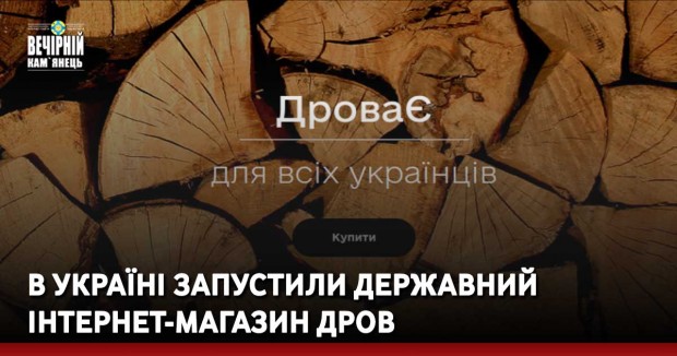 В Україні запустили державний інтернет-магазин дров