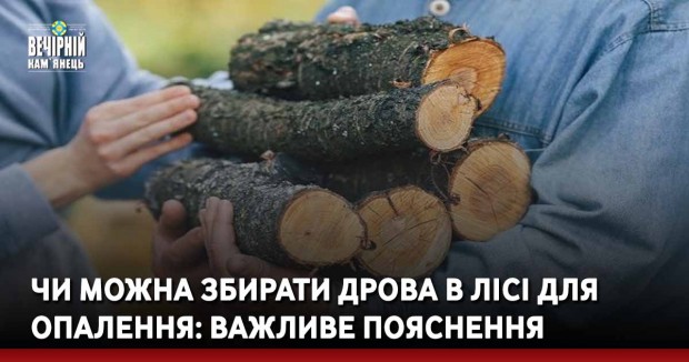 Чи можна збирати дрова в лісі для опалення: важливе пояснення