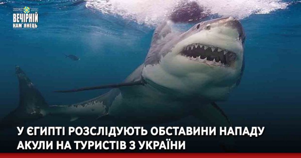 У Єгипті розслідують обставини нападу акули на туристів з України