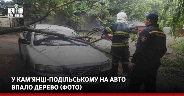 У Кам’янці-Подільському на авто впало дерево (ФОТО)