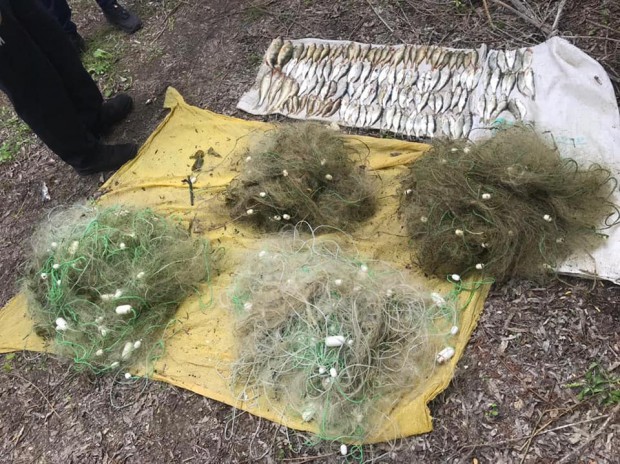 195975551 825768258062180 5705223611226073809 n