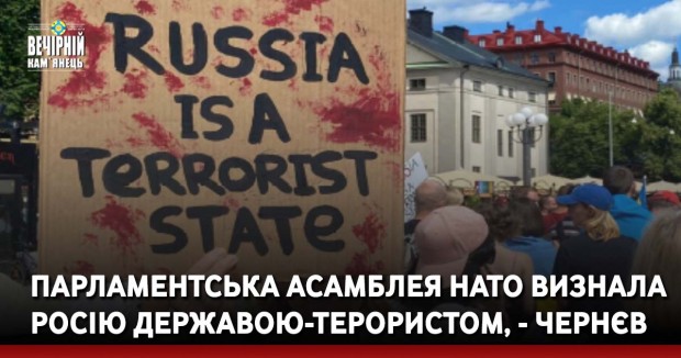Парламентська асамблея НАТО визнала росію державою-терористом, - Чернєв
