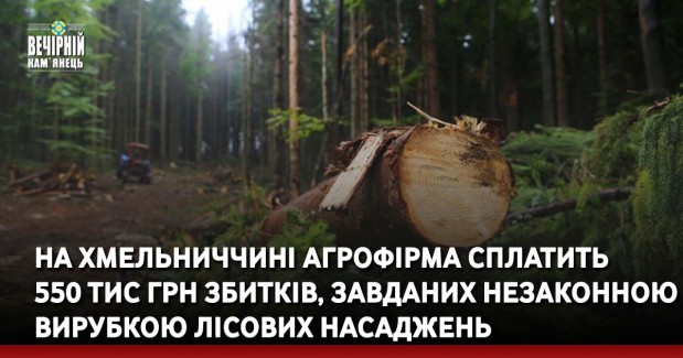 На Хмельниччині агрофірма сплатить 550 тис грн збитків, завданих незаконною вирубкою лісових насаджень