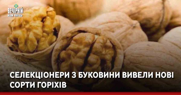 Селекціонери з Буковини вивели нові сорти горіхів