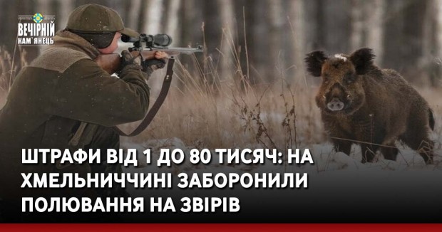 Штрафи від 1 до 80 тисяч: на Хмельниччині заборонили полювання на звірів