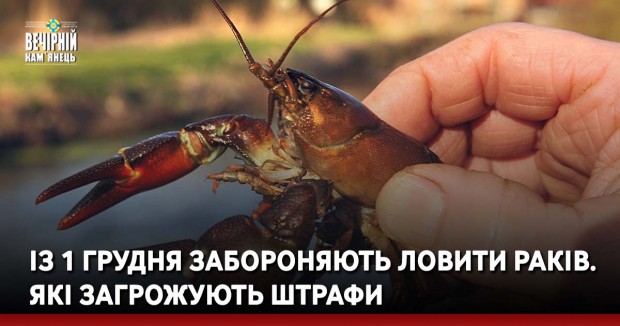 Із 1 грудня забороняють ловити раків. Які загрожують штрафи