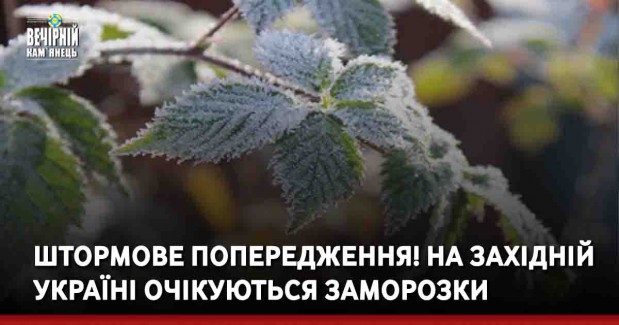 ШТОРМОВЕ ПОПЕРЕДЖЕННЯ! На західній Україні очікуються заморозки