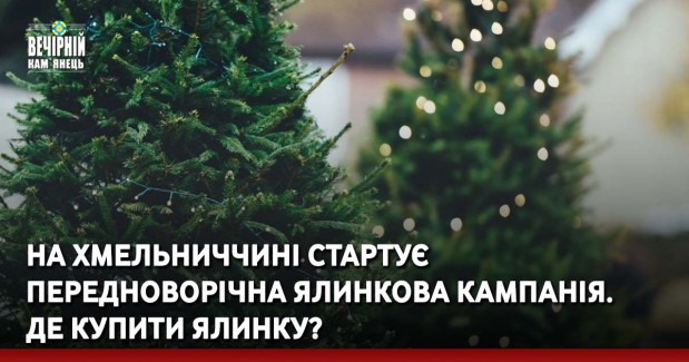 Шахраї ошукали мешканку Кам’янеччини на 140 тис грн