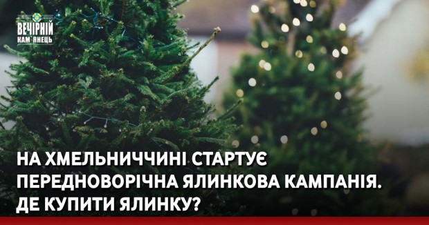 На Хмельниччині стартує передноворічна ялинкова кампанія. Де купити ялинку?
