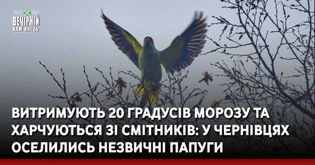 На Хмельниччині поліцейські викрили нарколабораторію із виготовлення амфетаміну