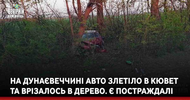 На Дунаєвеччині авто злетіло в кювет та врізалось в дерево. Є постраждалі