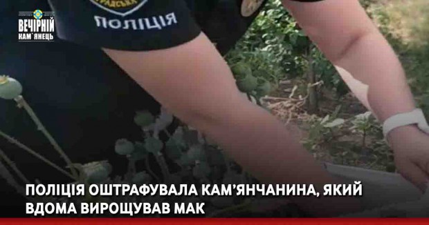 Поліція оштрафувала кам’янчанина, який вдома вирощував мак