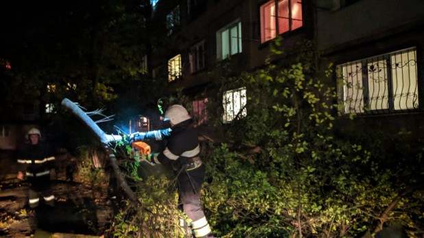 245419597 974329279781890 5988723873689504556 n