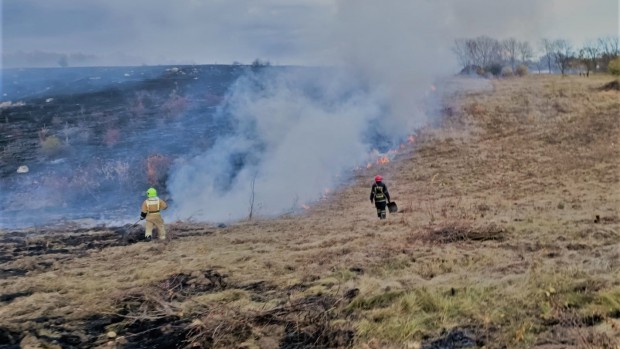 246818528 977517282796423 2871143991723849017 n