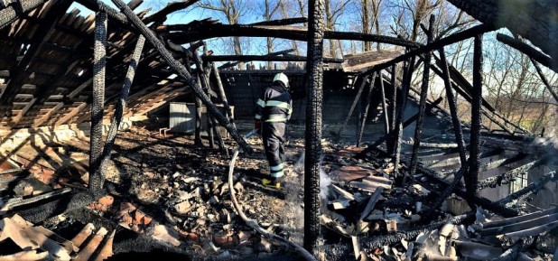 254007615 986665908548227 1853412631244841834 n