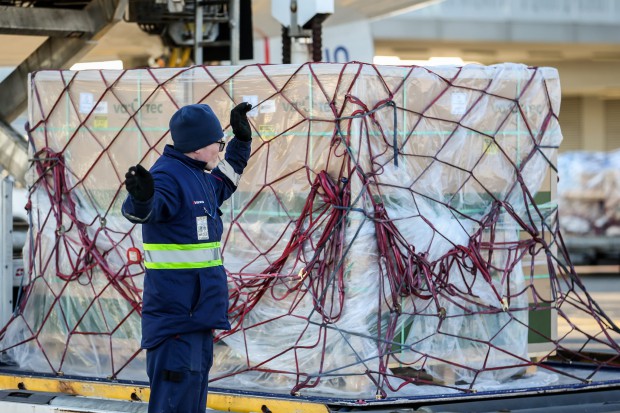 254077878 1990757997753962 4925100751001819140 n