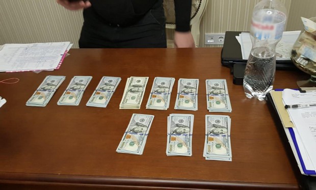 260172942 2424978044300087 6717679607648002336 n