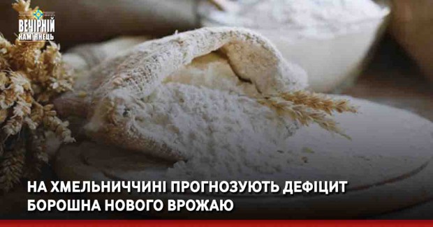 На Хмельниччині прогнозують дефіцит борошна нового врожаю