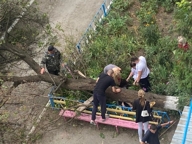 289582497 5466055720079687 8150742759616397878 n