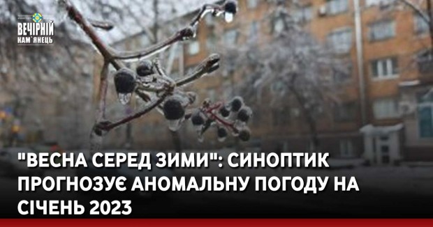 Злочинний «общак». У затриманих в Україні «злодіїв в законі» вилучили понад $3,2 млн