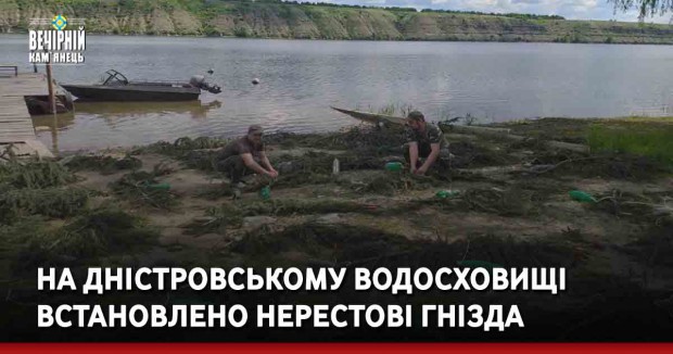 На Дністровському водосховищі встановлено нерестові гнізда