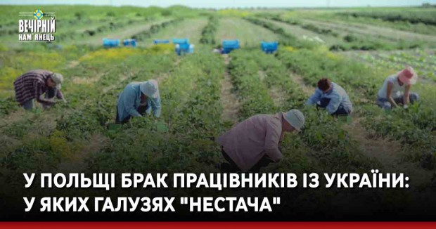 У Польщі брак працівників із України: у яких галузях "нестача"
