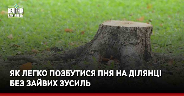 Як легко позбутися пня на ділянці без зайвих зусиль