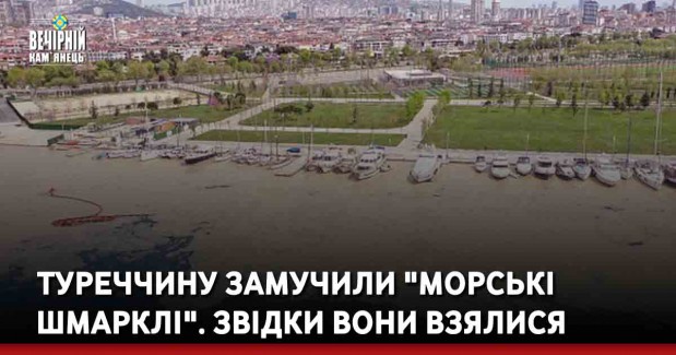 Туреччину замучили "морські шмарклі". Звідки вони взялися