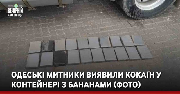 Одеські митники виявили кокаїн у контейнері з бананами (ФОТО)