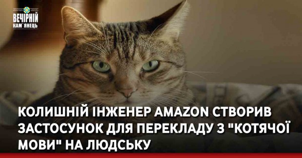 Колишній інженер Amazon створив застосунок для перекладу з "котячої мови" на людську